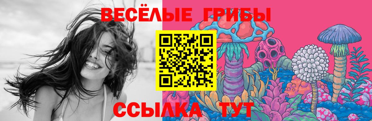 Котовск  Псилоцибиновые грибы мухоморы  Вход с VPN 